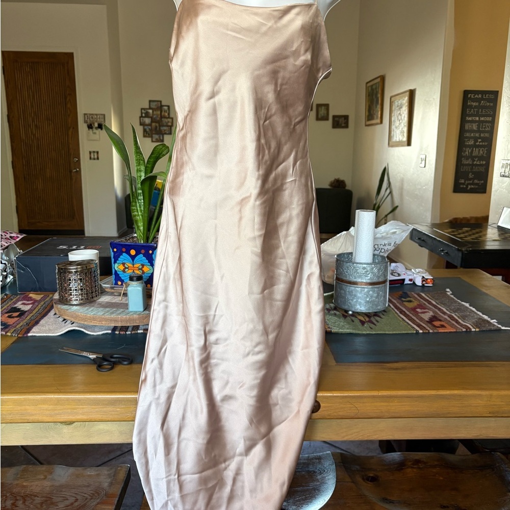 Zara Champagne Satin Midi Dress - Picture 4 of 7